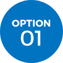 Option 2 Button